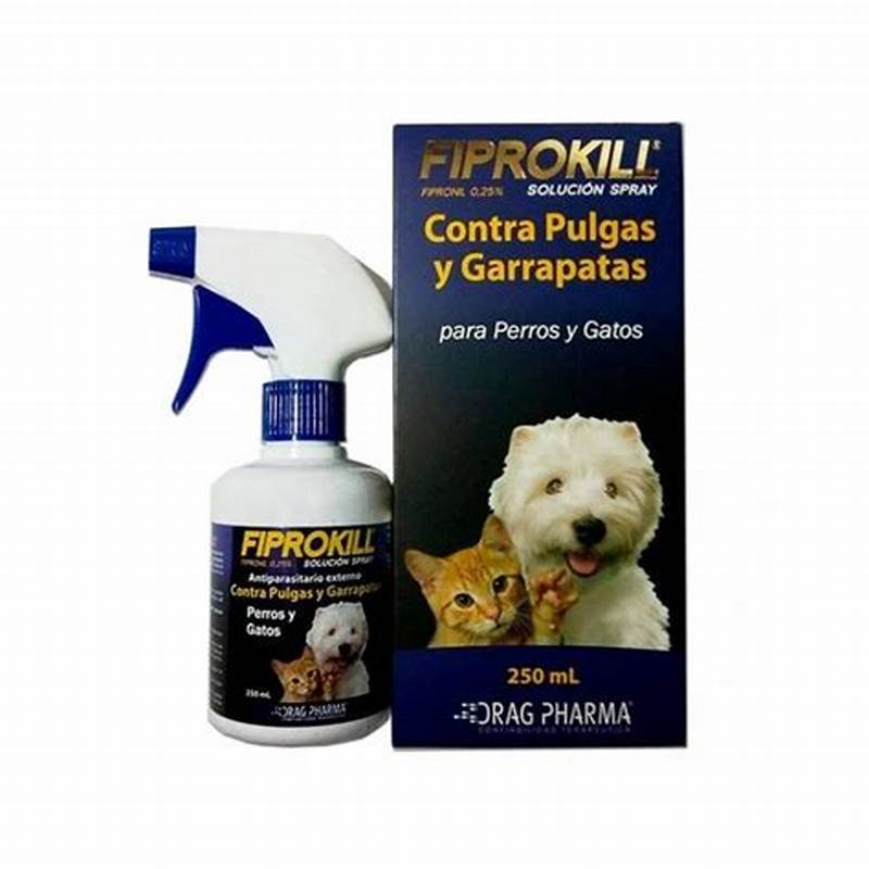 Post de instagram de comida para perro moderno amarillo con café (4)