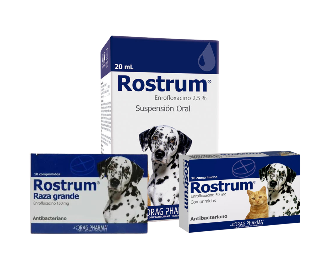 Diseño sin título
