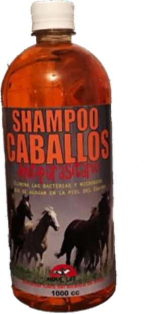 shampoo de caballo